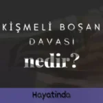 Çekişmeli Boşanma Dava Dilekçesi