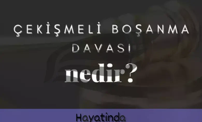 Çekişmeli Boşanma Dava Dilekçesi