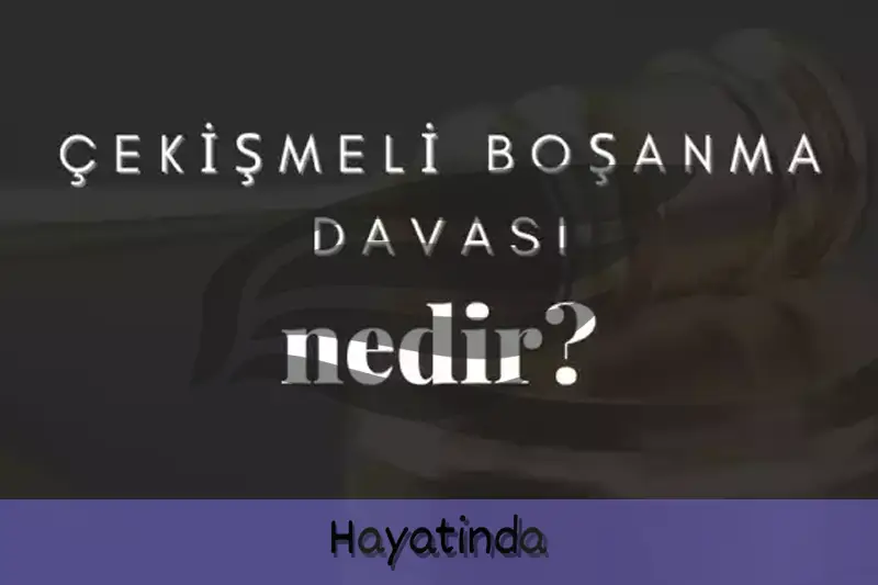 Çekişmeli Boşanma Dava Dilekçesi